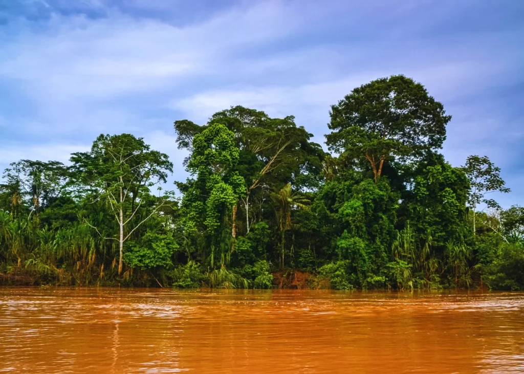 Programa Lago Sandoval: 3 Días – 2 Noches (Tambopata)